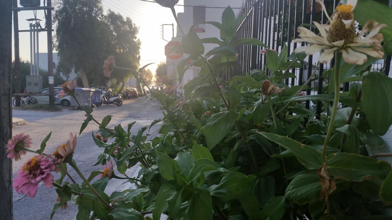 Rubini Rooms ปาริเกีย ภายนอก รูปภาพ