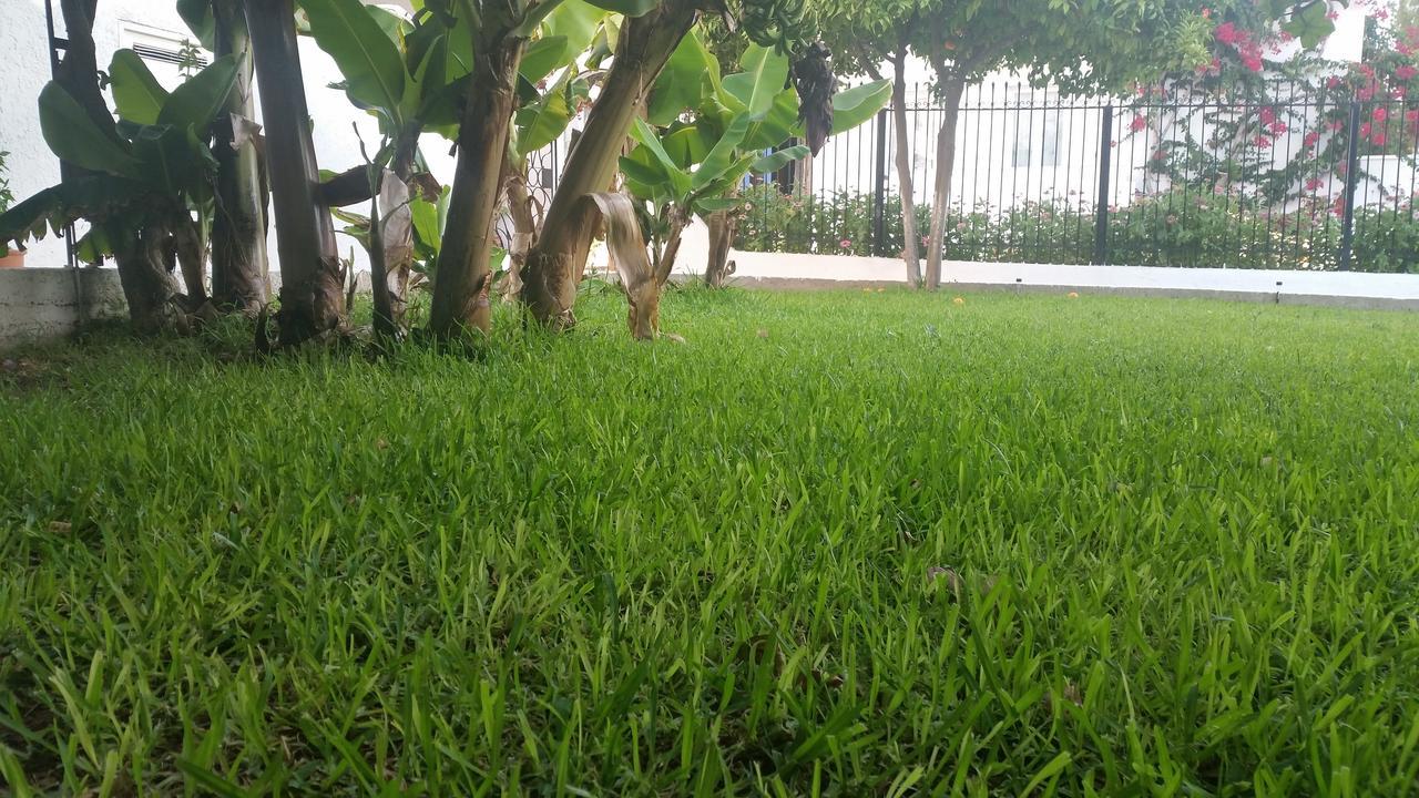 Rubini Rooms ปาริเกีย ภายนอก รูปภาพ